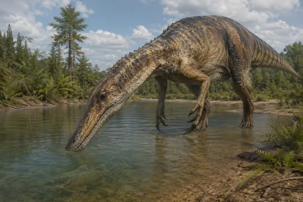 Dinozaury jedzące ryby