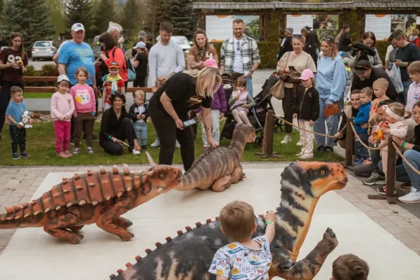 Bałtów 18